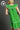 #color_kelly-green