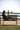5 Best Photo Locations in Santa Monica